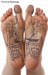 Reflexology. feet